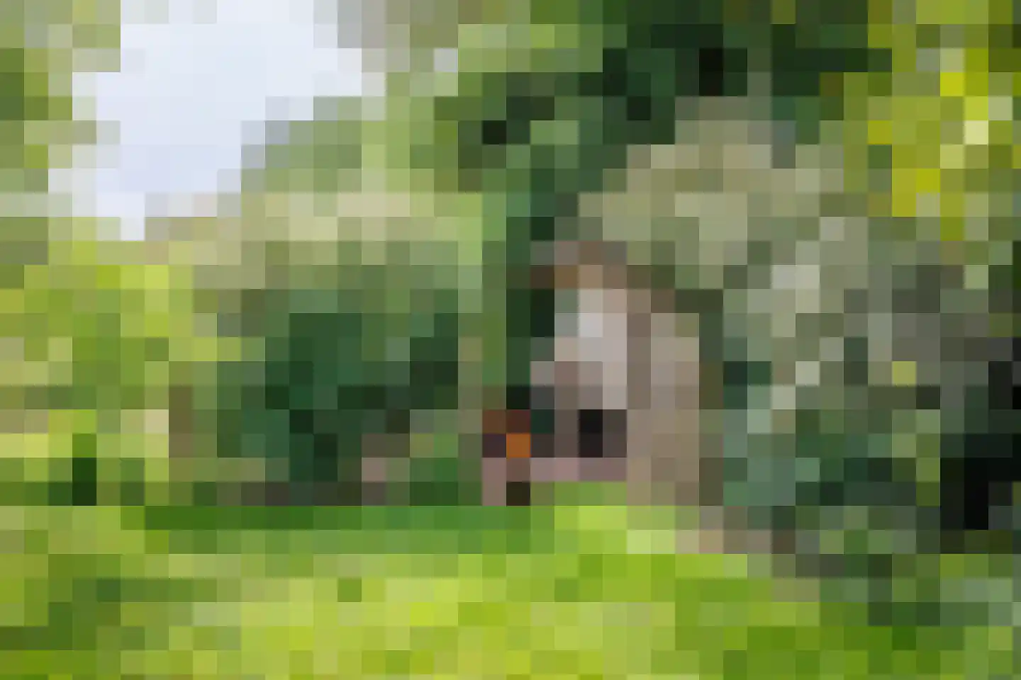 Augustinusweg 30 Siebengewald thumbnail 6