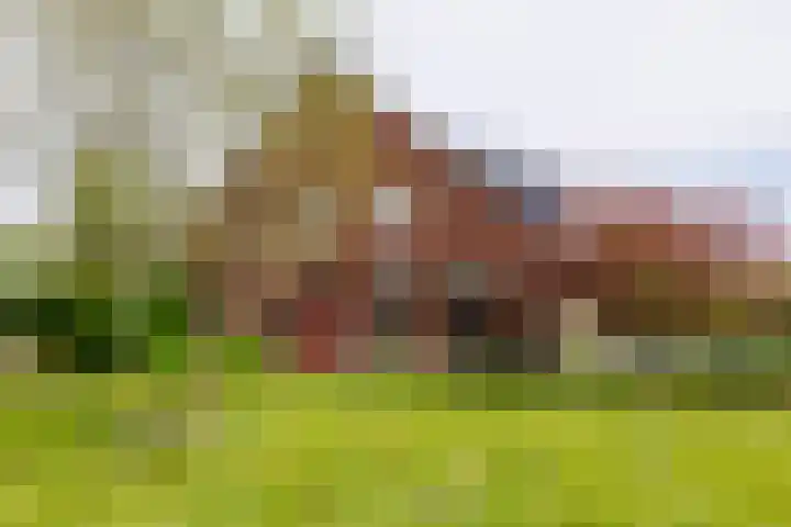 Augustinusweg 30 Siebengewald thumbnail 7
