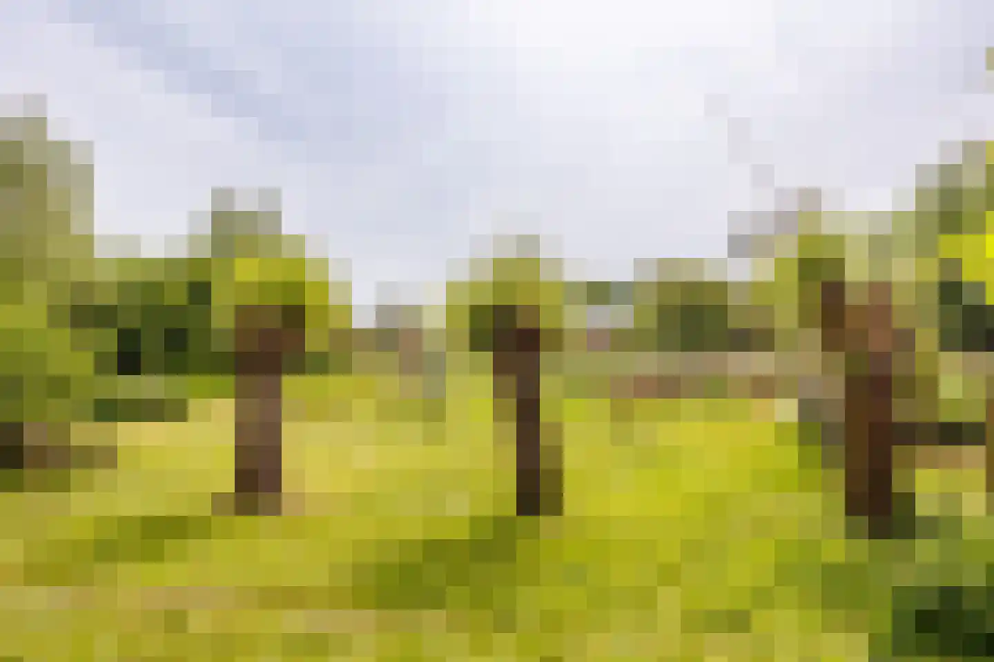 Augustinusweg 30 Siebengewald thumbnail 8
