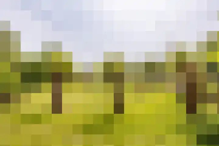 Augustinusweg 30 Siebengewald thumbnail 8