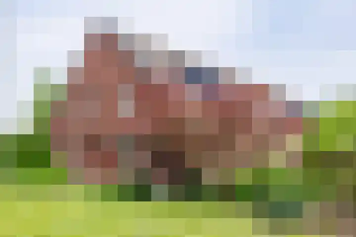 Augustinusweg 30 Siebengewald thumbnail 9