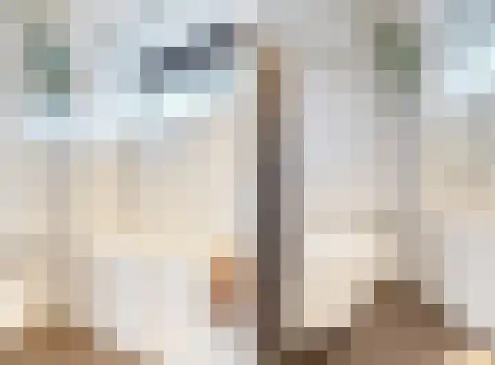 Augusto Sandinostraat 148 Utrecht thumbnail 19