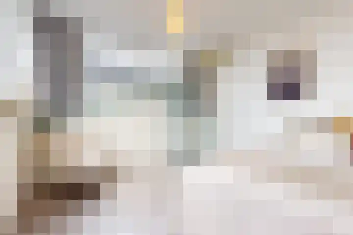 Augusto Sandinostraat 148 Utrecht thumbnail 21