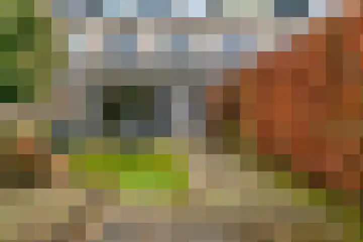 Augusto Sandinostraat 148 Utrecht thumbnail 27