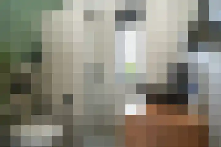Augusto Sandinostraat 208 Utrecht thumbnail 20