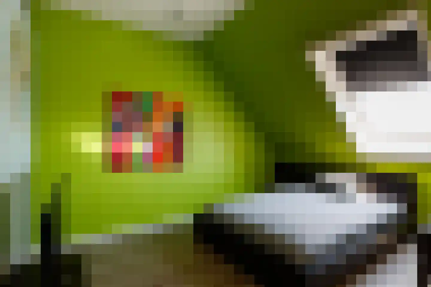 Augustus 3 Wijk bij Duurstede thumbnail 27