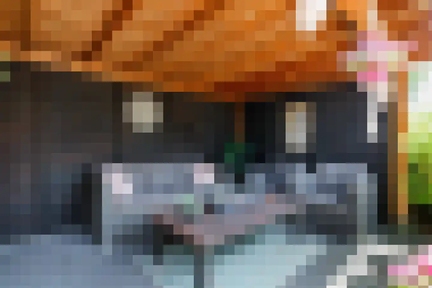 Augustus 3 Wijk bij Duurstede thumbnail 4