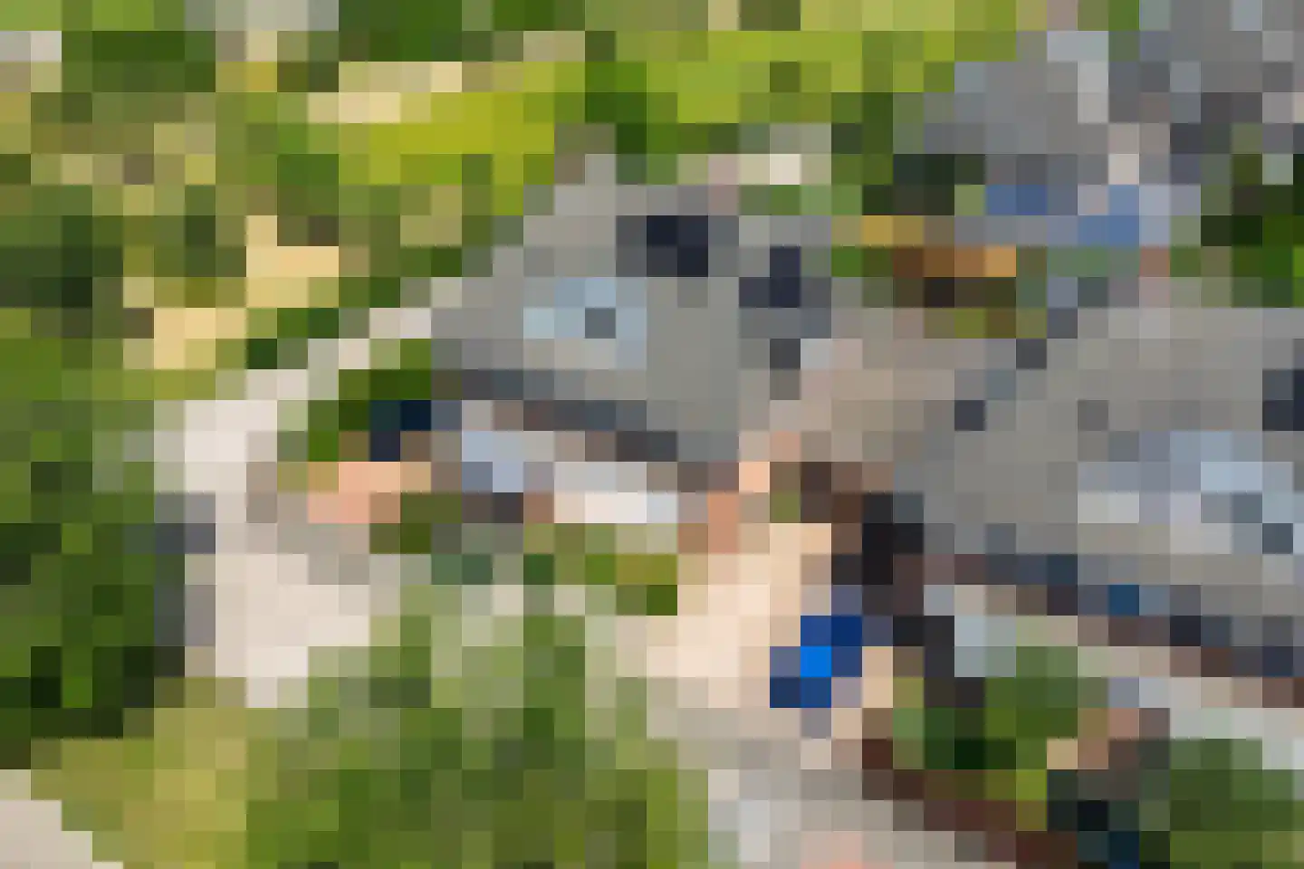 Augustus 3 Wijk bij Duurstede thumbnail 40
