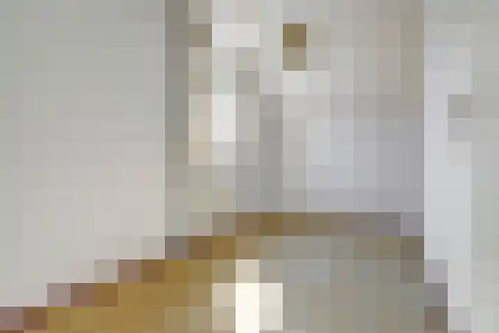 Augustuslaan 10 Beuningen Gld thumbnail 15