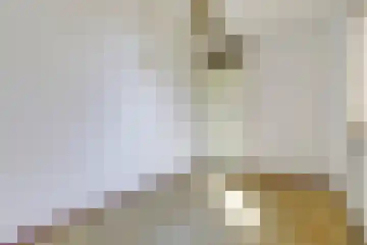 Augustuslaan 10 Beuningen Gld thumbnail 16