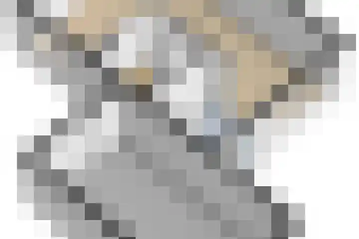 Augustuslaan 10 Beuningen Gld thumbnail 36