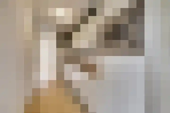 Augustuslaan 11 Beuningen Gld thumbnail 11