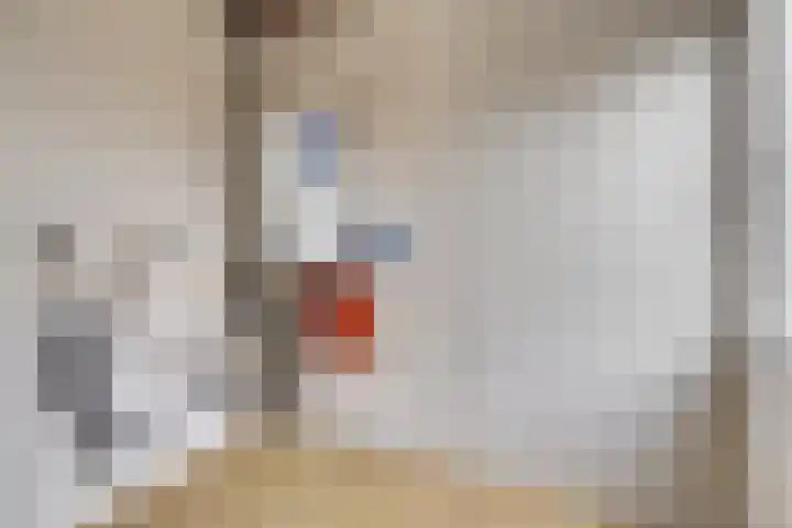 Augustuslaan 11 Beuningen Gld thumbnail 12