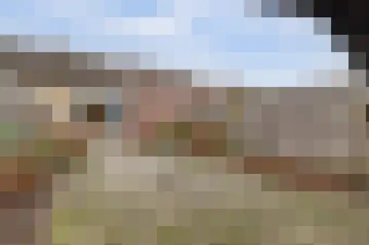 Augustuslaan 19 Beuningen Gld thumbnail 22