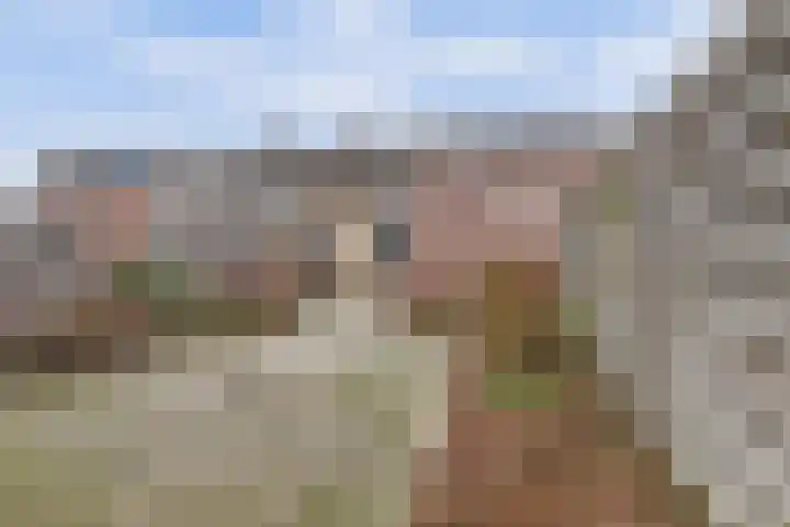 Augustuslaan 19 Beuningen Gld thumbnail 25
