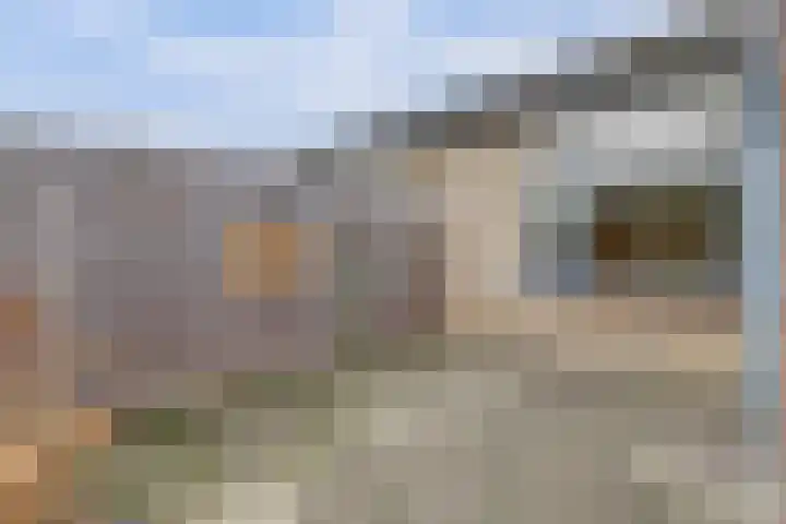Augustuslaan 19 Beuningen Gld thumbnail 27