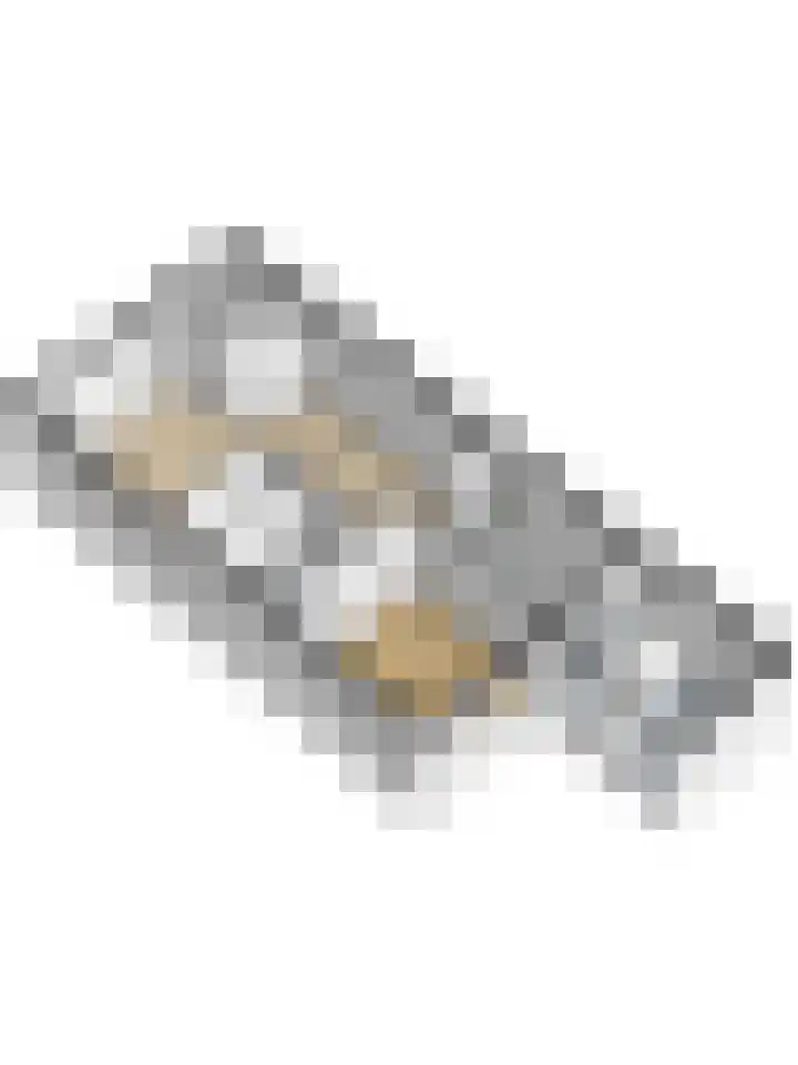 Augustuslaan 19 Beuningen Gld thumbnail 32