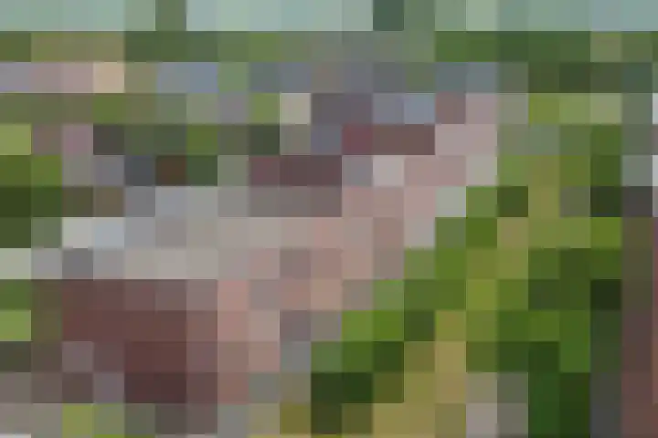 Augustusweg 47 De Meern thumbnail 31
