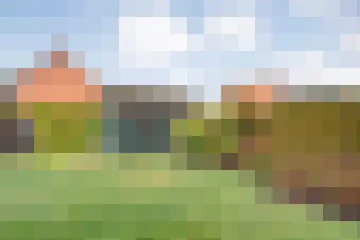 Augustusweg 47 De Meern thumbnail 7