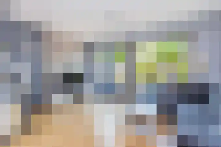 Augustusweg 47 De Meern thumbnail 8