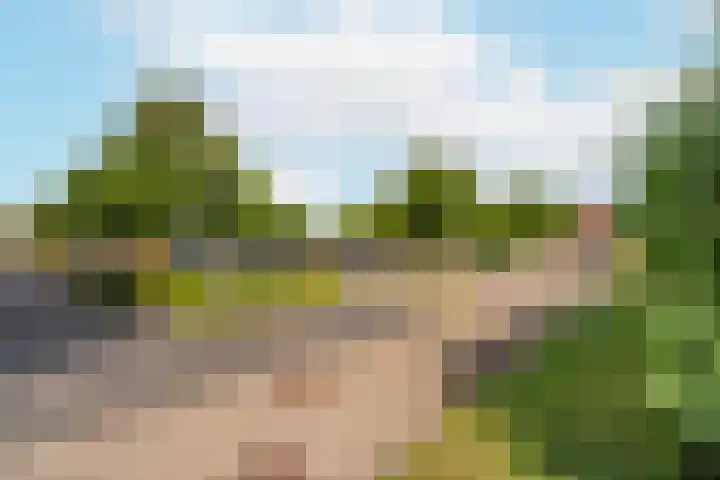 Augustusweg 49 De Meern thumbnail 5