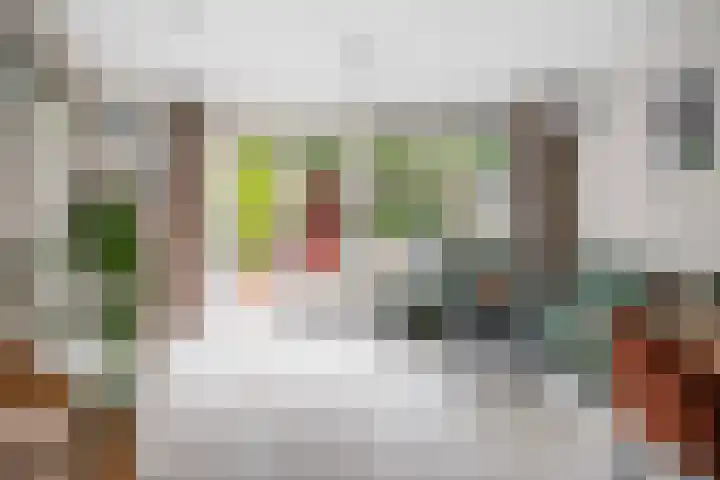 Augustusweg 49 De Meern thumbnail 6