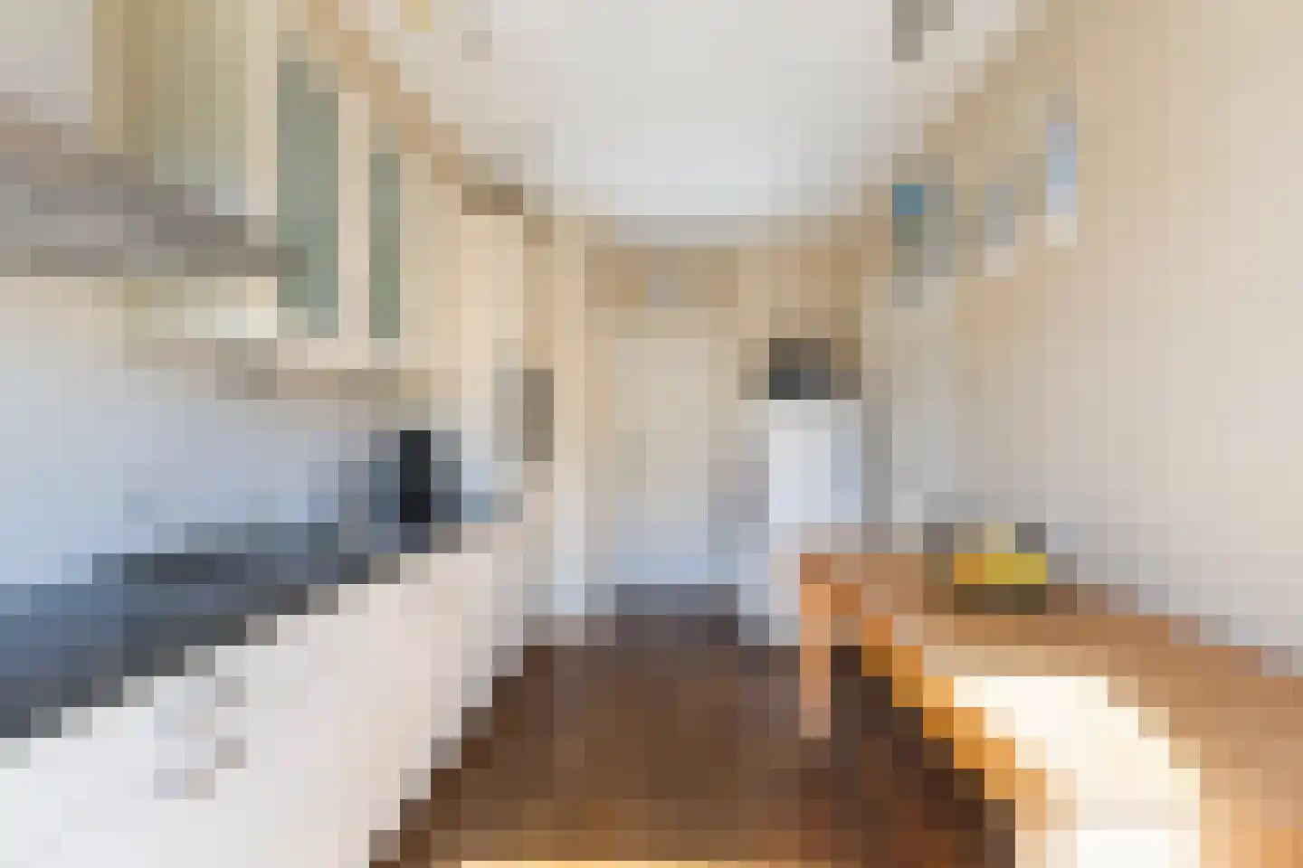 Auke Jansstrjitte 2 a Broeksterwâld thumbnail 17