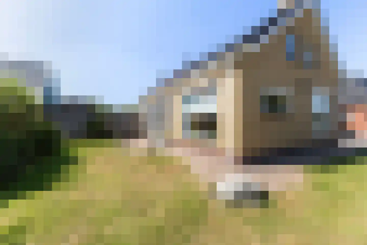Auke Jansstrjitte 2 a Broeksterwâld thumbnail 20