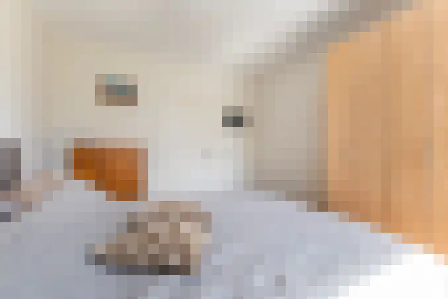 Auke Jansstrjitte 2 a Broeksterwâld thumbnail 29
