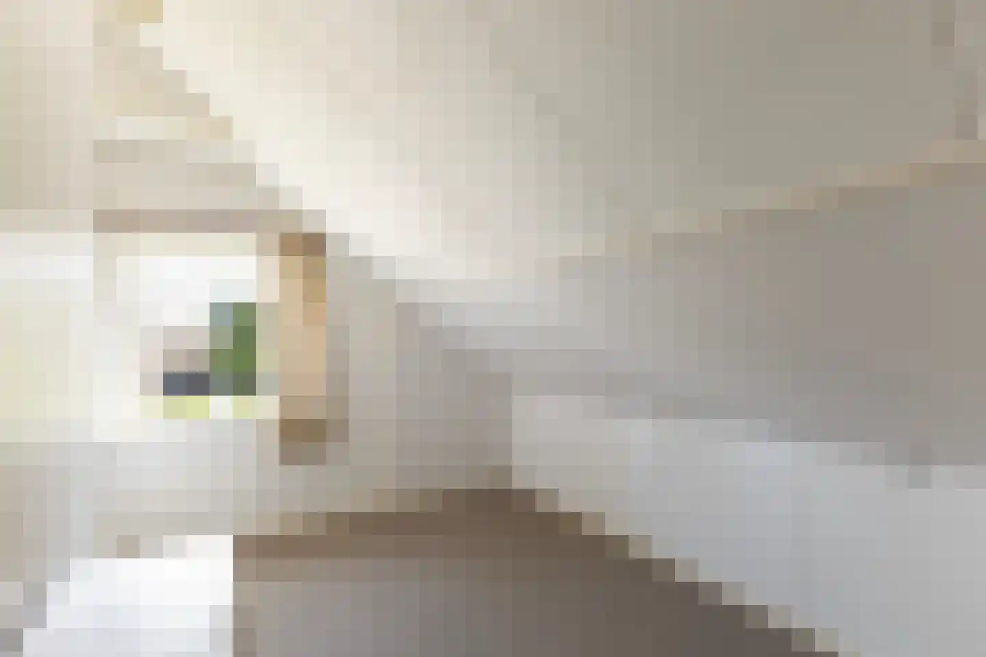 Auke Jansstrjitte 2 a Broeksterwâld thumbnail 38