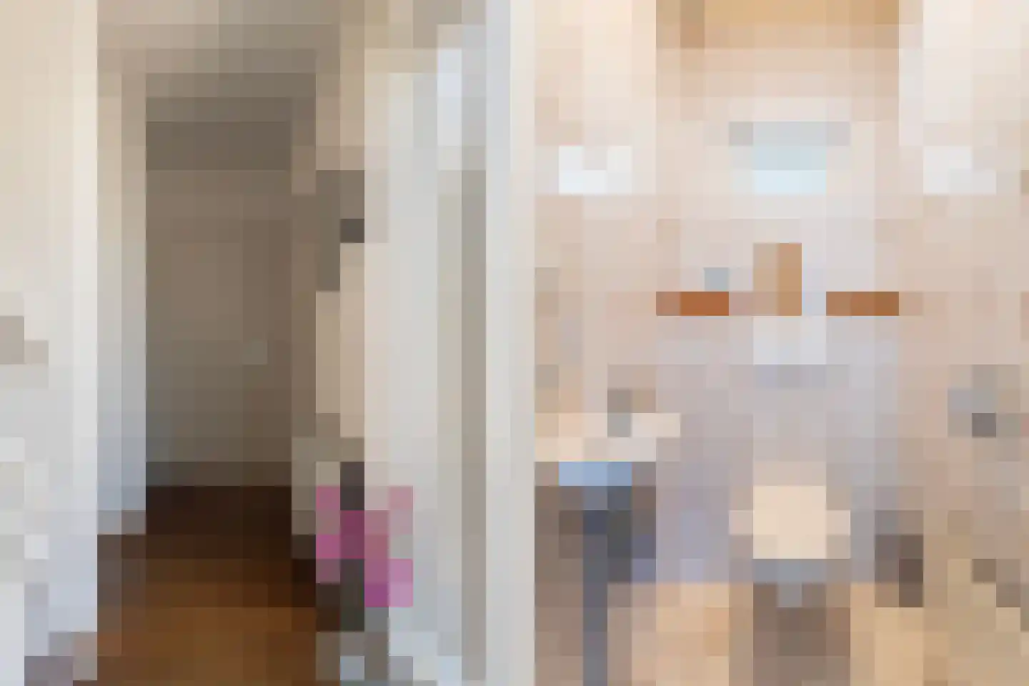 Auke Jansstrjitte 2 a Broeksterwâld thumbnail 7