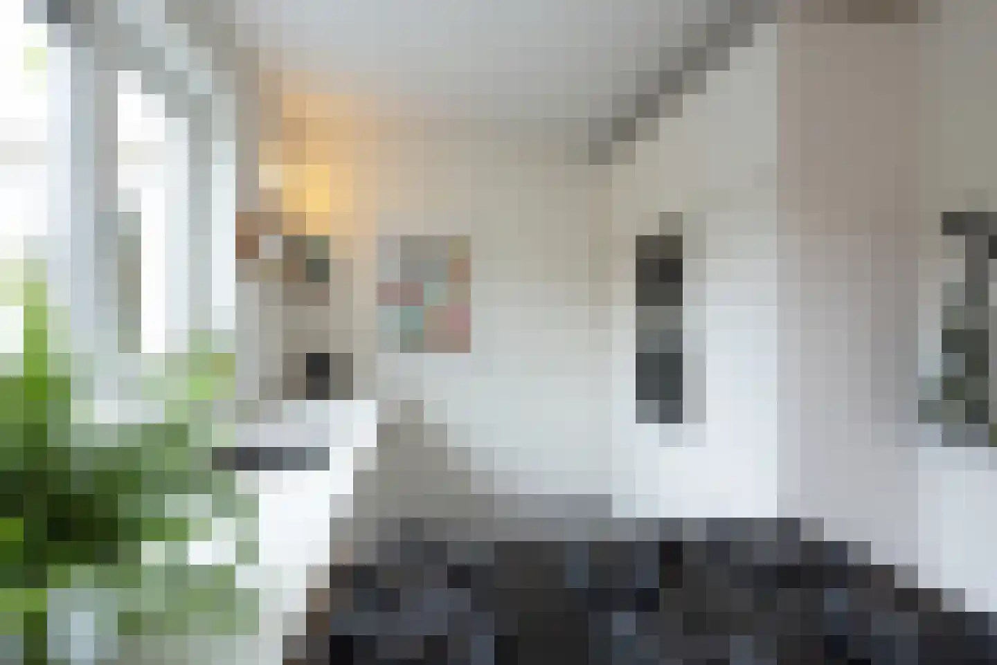 Auke Mollemastraat 15 Zaltbommel thumbnail 12