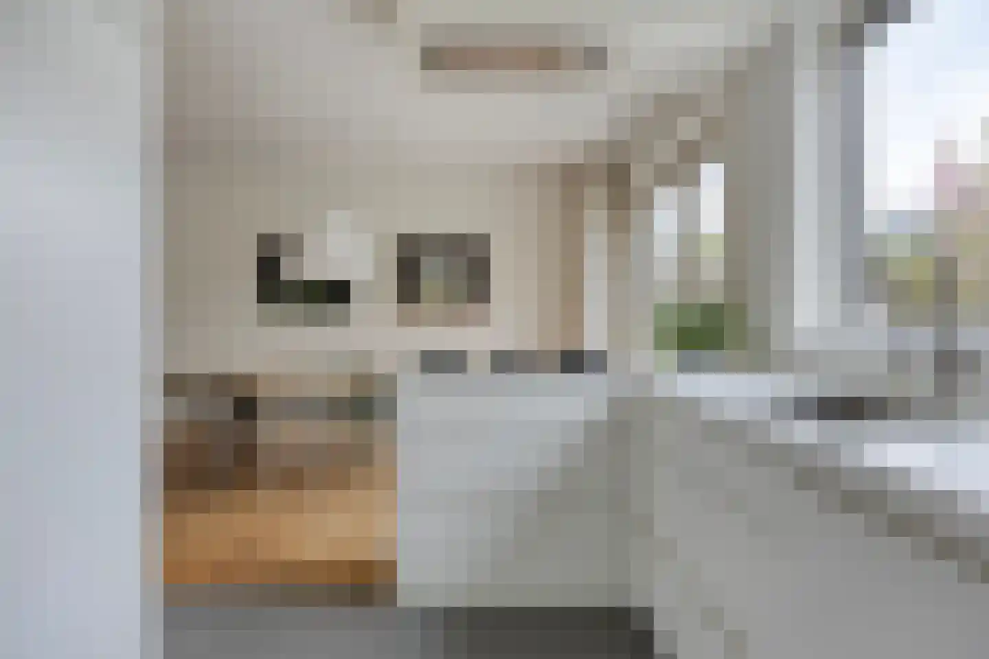 Auke Mollemastraat 15 Zaltbommel thumbnail 14