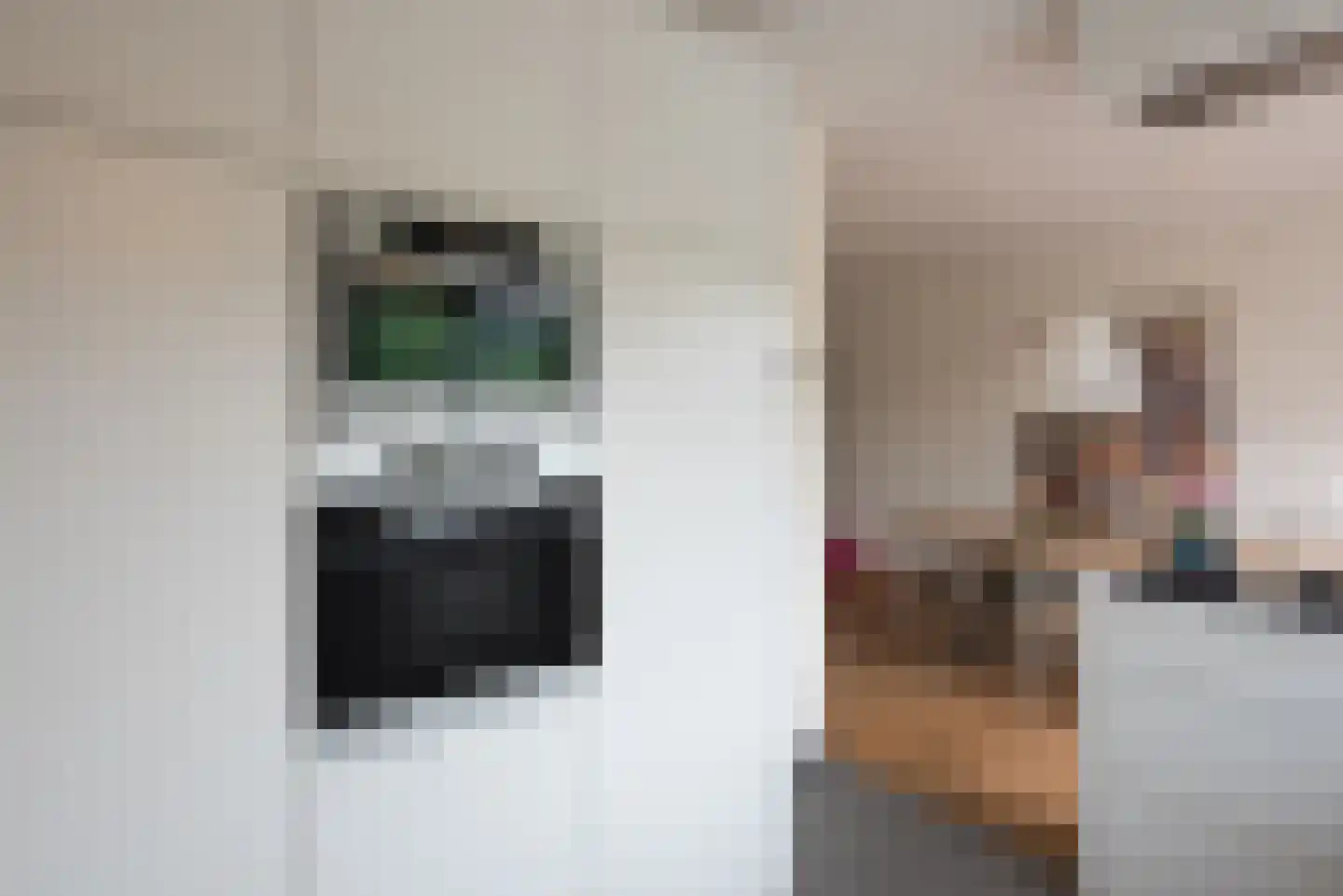 Auke Mollemastraat 15 Zaltbommel thumbnail 14