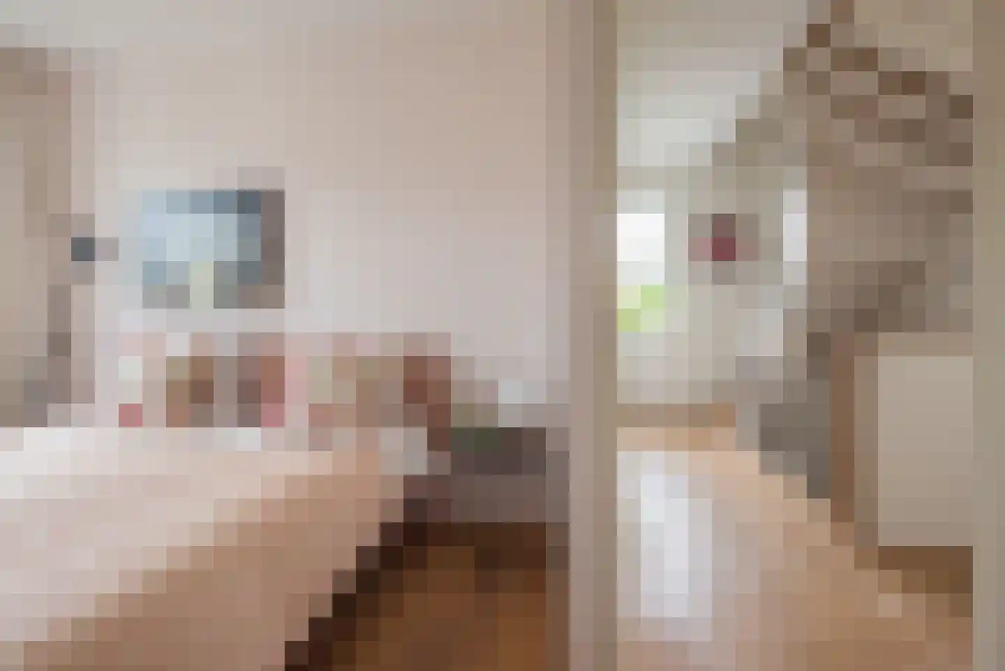 Auke Mollemastraat 15 Zaltbommel thumbnail 30