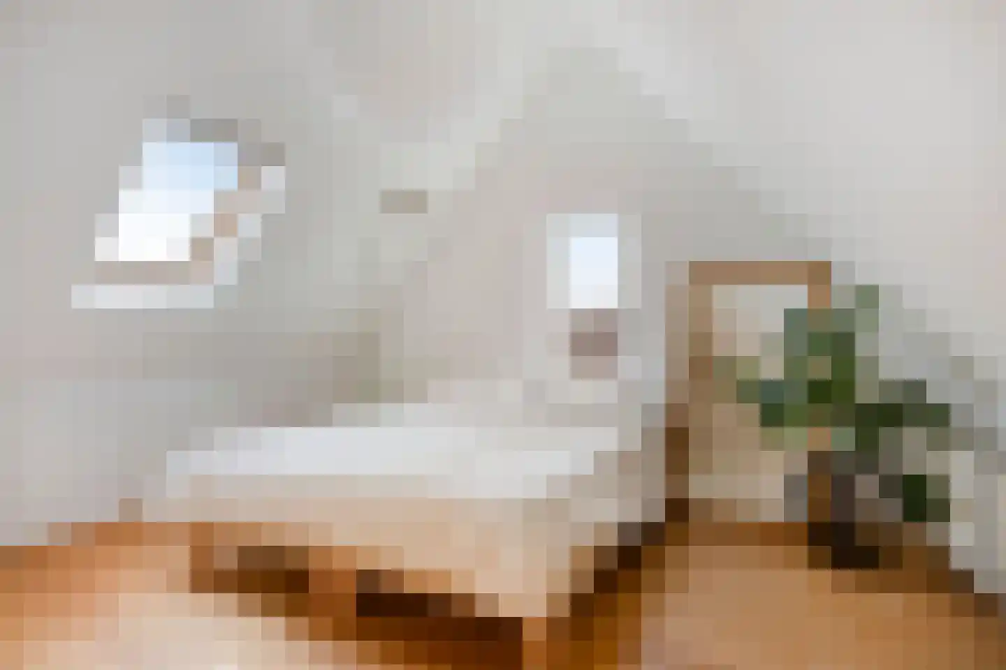 Auke Mollemastraat 15 Zaltbommel thumbnail 35