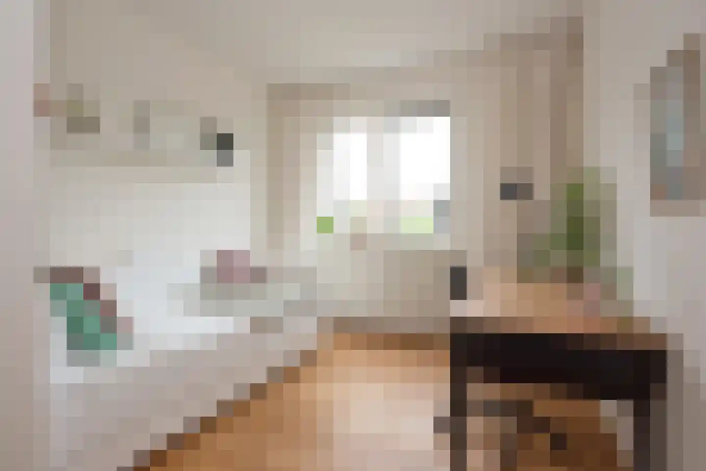 Auke Mollemastraat 15 Zaltbommel thumbnail 37