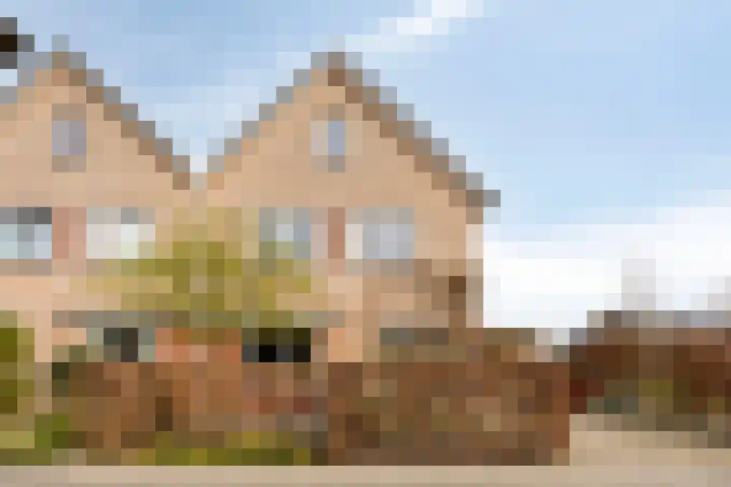 Auke Mollemastraat 15 Zaltbommel thumbnail 42