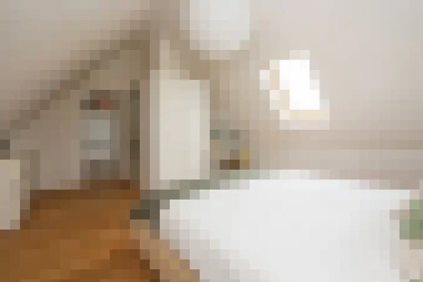 Auke Mollemastraat 15 Zaltbommel thumbnail 48