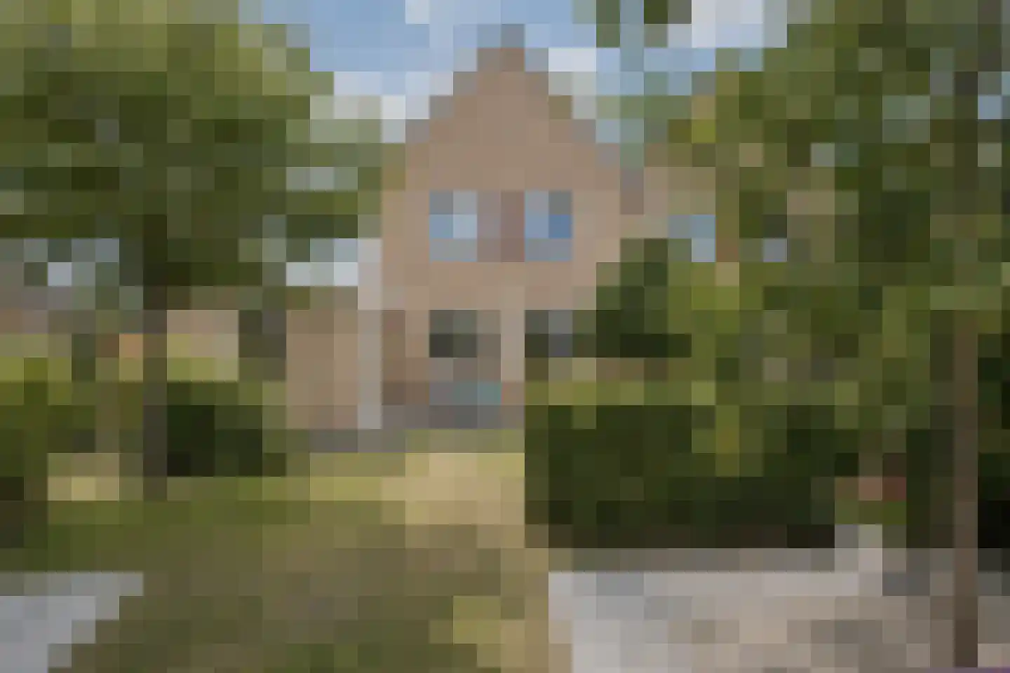 Auke Mollemastraat 15 Zaltbommel thumbnail 49