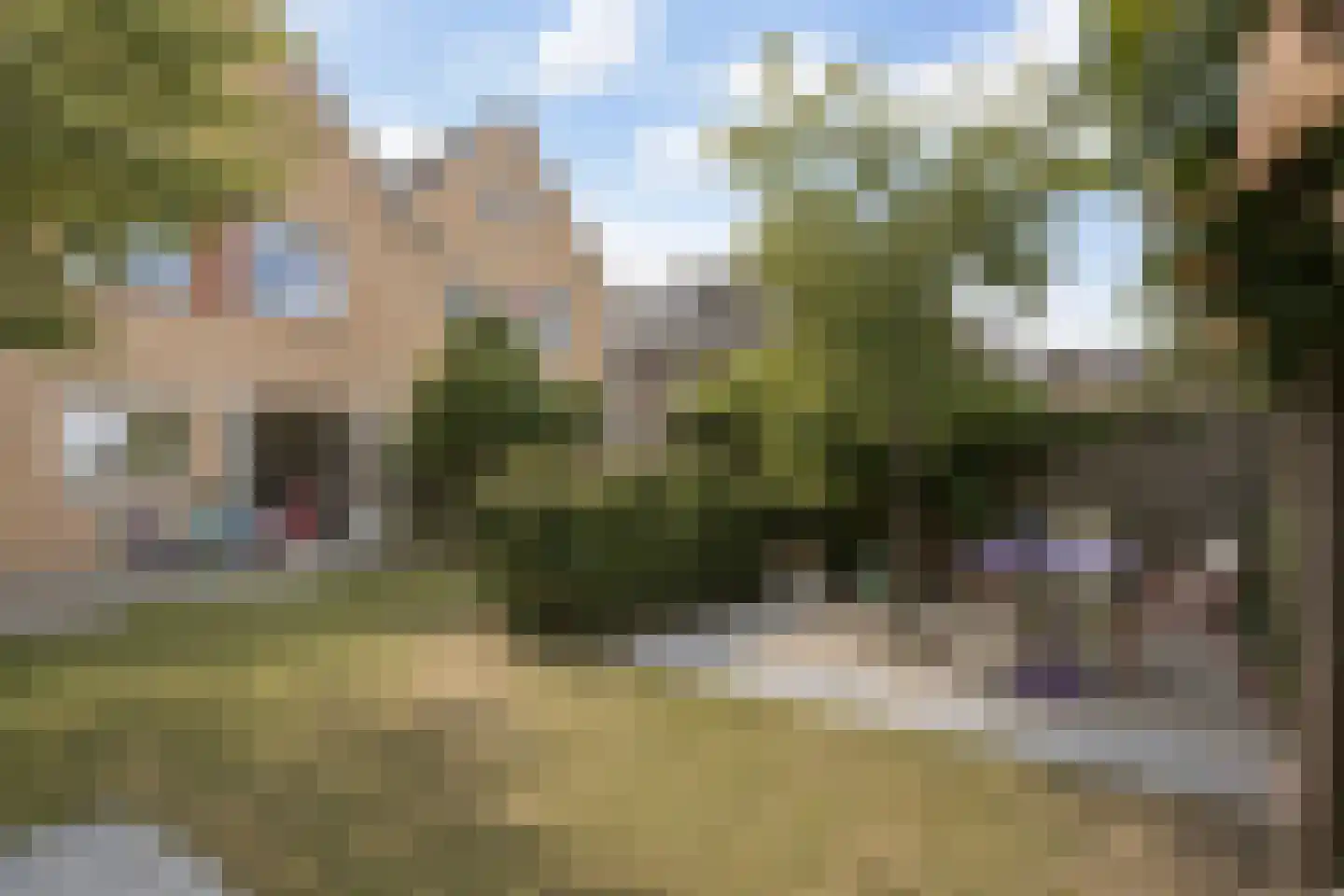 Auke Mollemastraat 15 Zaltbommel thumbnail 52