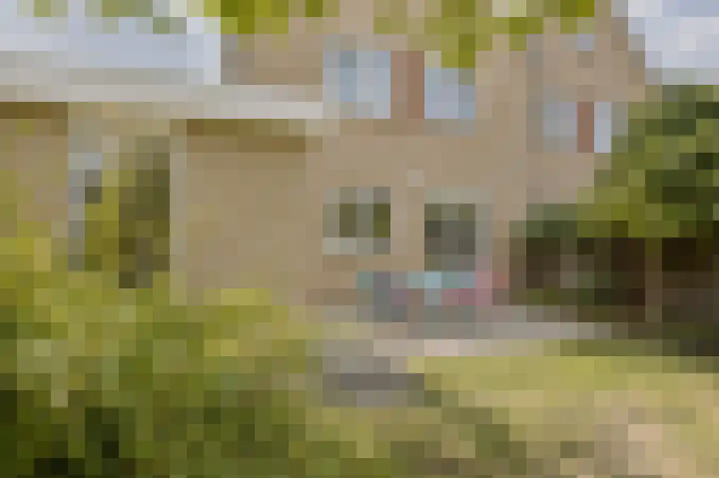 Auke Mollemastraat 15 Zaltbommel thumbnail 58