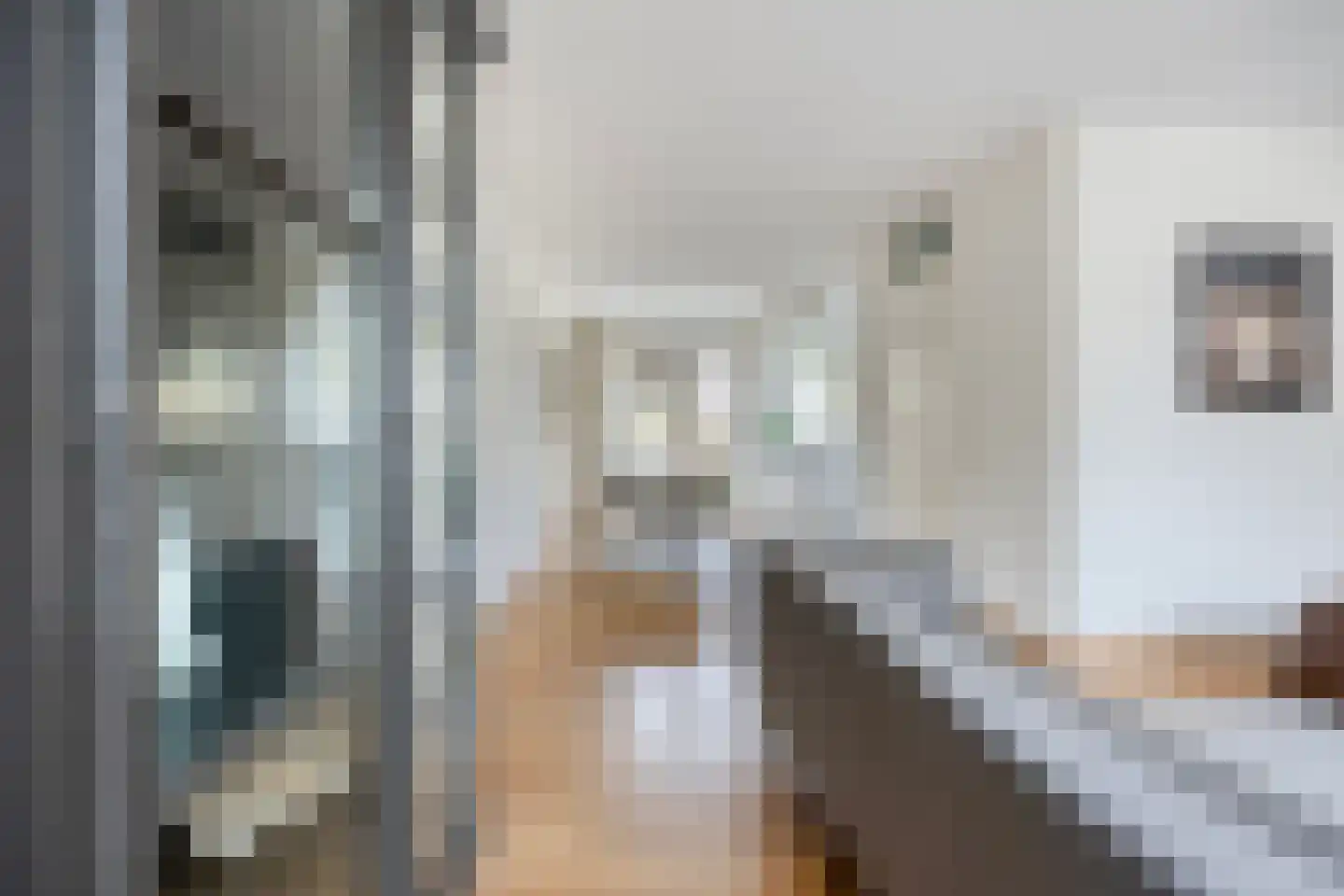 Auke Mollemastraat 15 Zaltbommel thumbnail 6
