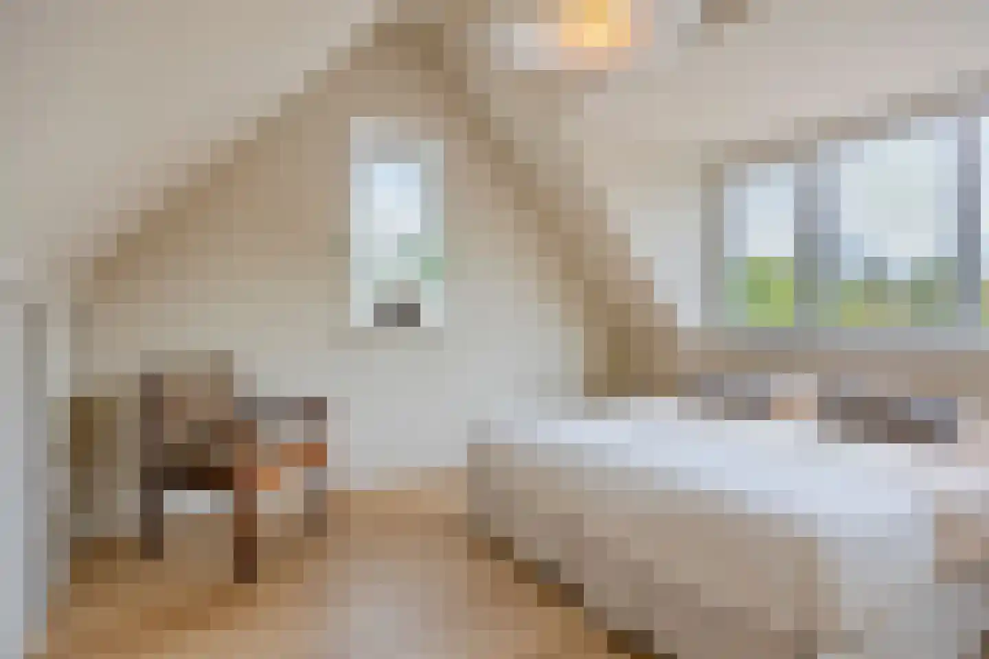 Auke Mollemastraat 5 Zaltbommel thumbnail 37