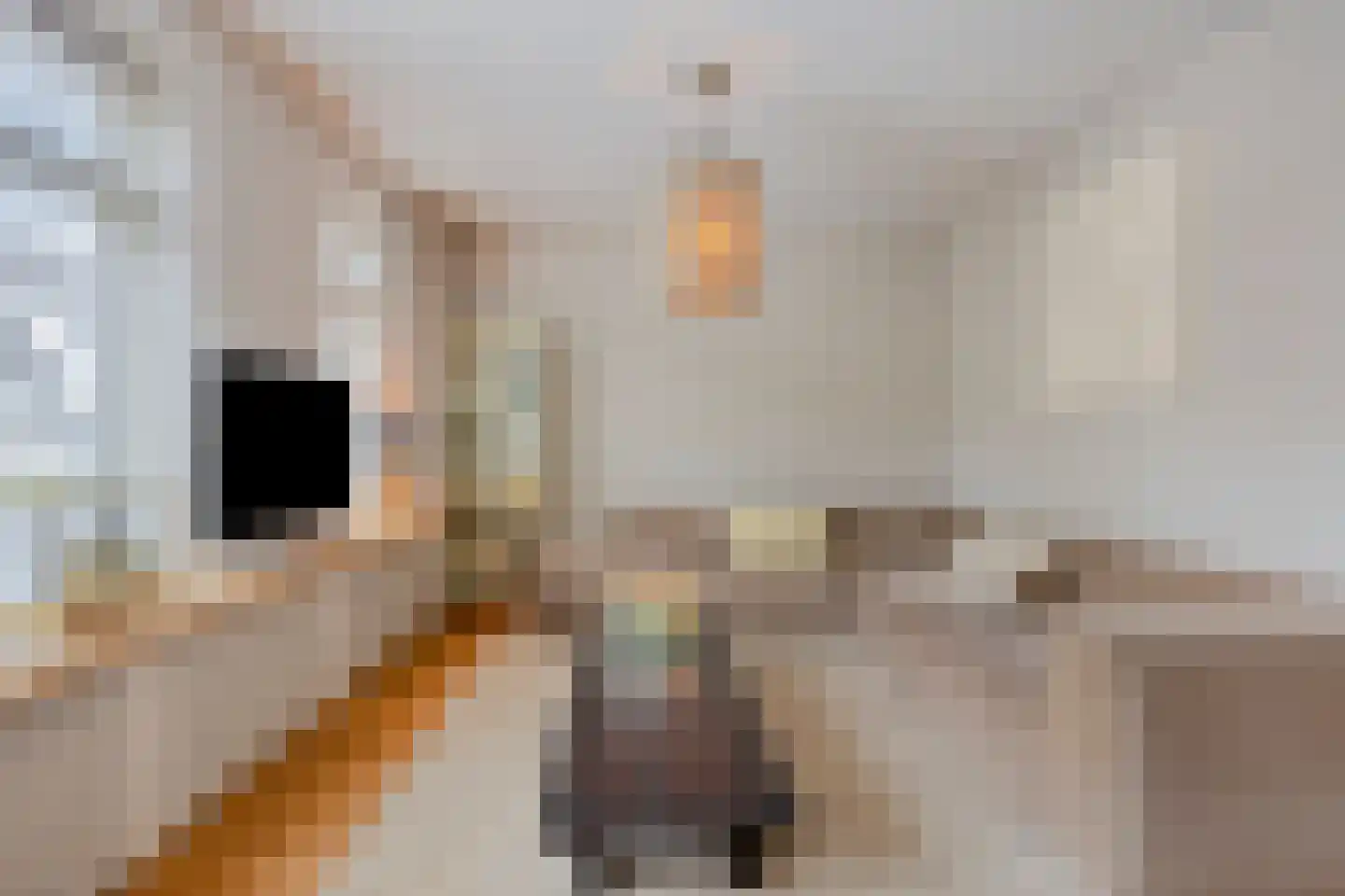 Auke Mollemastraat 5 Zaltbommel thumbnail 7