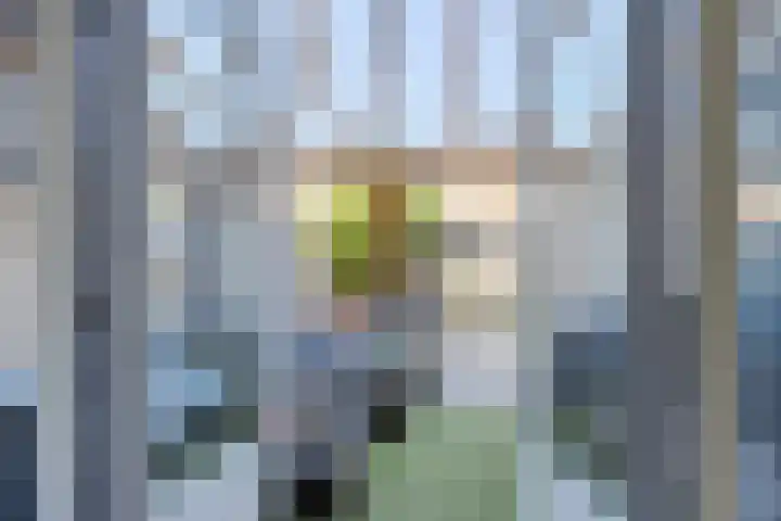 Auke Stellingwerfstraat 14 a Leeuwarden thumbnail 22