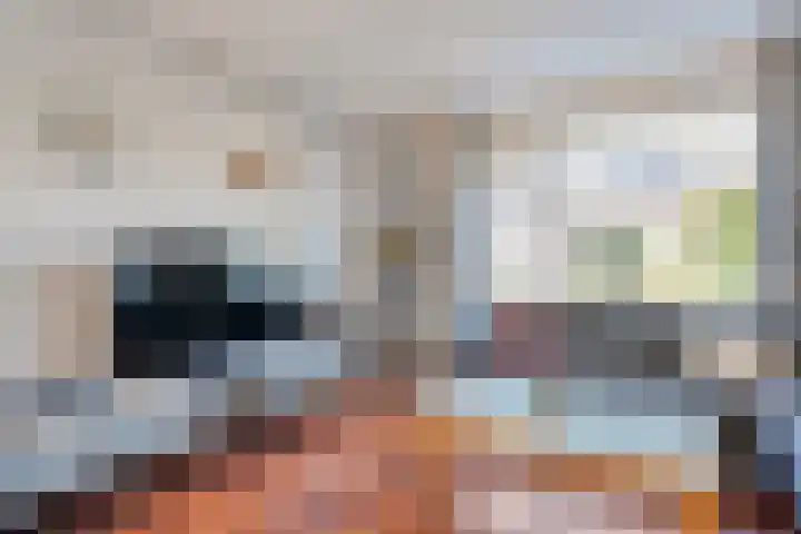 Auke Vosstraat 34 Slagharen thumbnail 10
