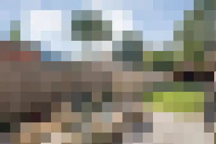 Auke Vosstraat 34 Slagharen thumbnail 25