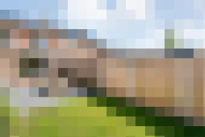 Auke Vosstraat 34 Slagharen thumbnail 27
