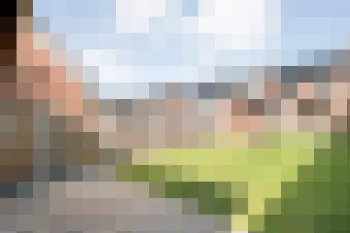 Auke Vosstraat 34 Slagharen thumbnail 28